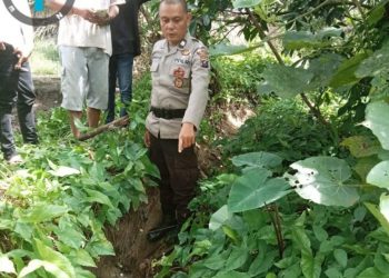 Balita Dilaporkan Hilang, Ditemukan Tewas Dalam Parit Irigasi Sawah
