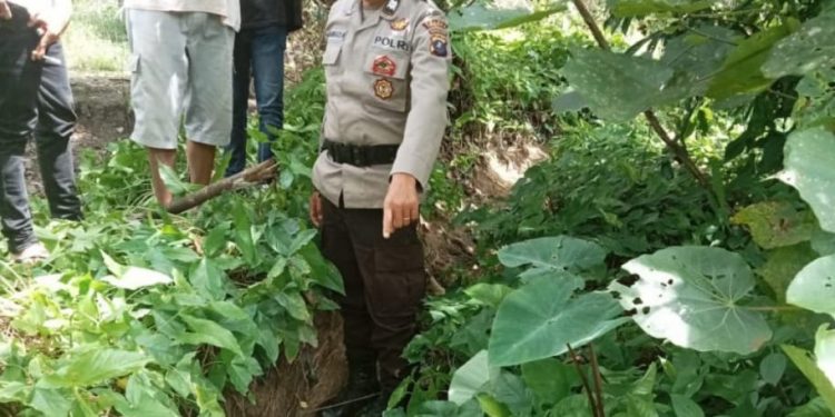 Balita Dilaporkan Hilang, Ditemukan Tewas Dalam Parit Irigasi Sawah