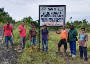 PTPN 2 Lanjutkan Okupasi HGU 94 Kebun Limau Mungkur, Penggarap Sudah 2 Kali Disomasi