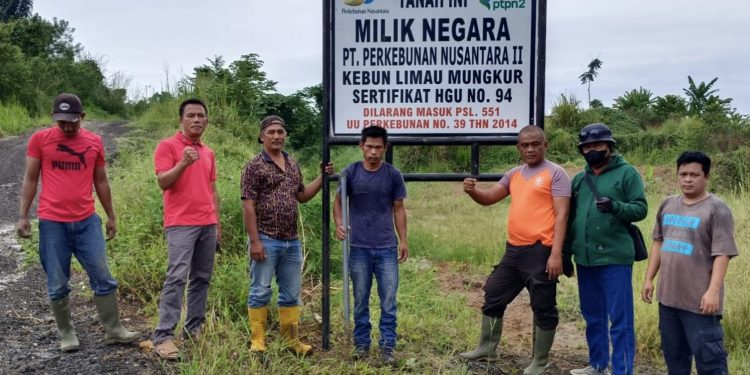 PTPN 2 Lanjutkan Okupasi HGU 94 Kebun Limau Mungkur, Penggarap Sudah 2 Kali Disomasi