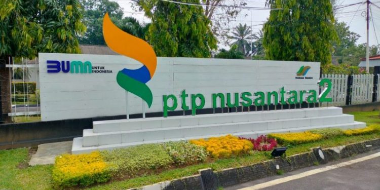 Rasa Haru Bahagia Para Pensiunan dan Ahli Waris Menerima SHT PTPN2