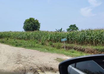 Diduga Lahan PTPN II Dikuasai Mafia Tanah, Rahmat Kurniawan: Akan Kita Lakukan Pengecekan Aset