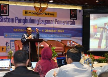 Ilyas Sitorus Ingatkan Pentingnya Standarisasi Aplikasi Layanan Pemerintah Satu Data Indonesia