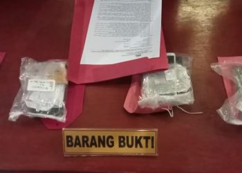 Satnarkoba Polres Labusel Press Release Ungkap Kasus Narkoba Periode 16 – 22 Oktober 2023