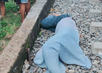 Korban Tampa Identitas Tewas Setelah Adu kuat dengan Ular Besi