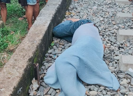 Korban Tampa Identitas Tewas Setelah Adu kuat dengan Ular Besi