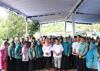 Bupati dan Ketua TP PKK Tapsel Lakukan Panen Perdana Bawang Merah Bersama Koptan Desa Simaninggir