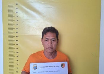 Satreskrim Polres Labusel Berhasil Ungkap Kasus Pencurian di Kecamatan Sungai Kanan