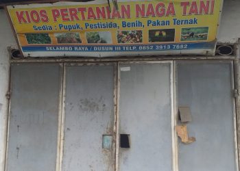 Salah Satu Pelaku Pencurian Di Kios Pertanian Naga Tani Ditangkap