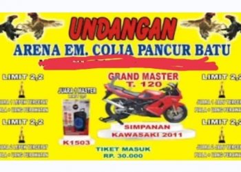 Judi Sabung Ayam Diduga Dikelola Oknum Colia Sembiring Bebas Bermain, Warga Minta Polda Sumut Segera Grebek