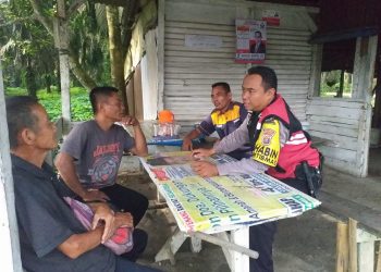 Meresahkan Warga, Dua Pengedar Sabu  di Kota Pinang dan Torgamba Disergap Satnarkoba Polres Labusel