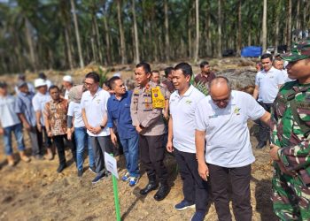 Wakapolres Labusel Hadiri Penanaman Perdana Program PSR Kemitraan PTPN IV Regional I Di AFD VII Pirbun Aek Raso