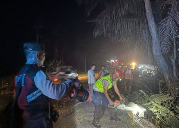 Satgas Preventif OPS Ketupat Toba 2024 Polres Labusel Tangani Pohon Tumbang