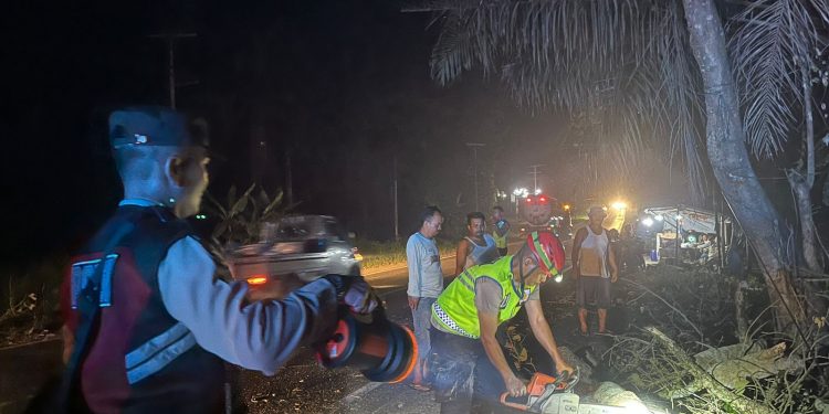Satgas Preventif OPS Ketupat Toba 2024 Polres Labusel Tangani Pohon Tumbang