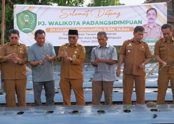 Tanam Cabai 10 Ha Menjadi Salah Satu Langkah Konkrit Pj. Walikota Padangsidimpuan Kendalikan Inflasi Daerah