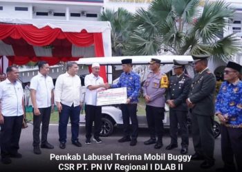 Pemkab Labusel Terima Mobil Buggy CSR PT. PN IV Regional I DLAB II