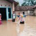 Puluhan Rumah di Pringsewu Terendam Banjir Kiriman Dari Tanggamus