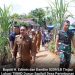 Bupati Labusel dan Dandim 0209/LB Tinjau Lokasi TMMD