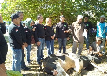 Komunitas Cerita Siantar Dulu (CSD) Gelar Pemotongan Hewan Qurban Pada Hari Raya Idul Adha 1445 H