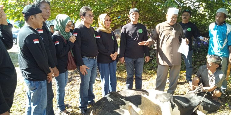 Komunitas Cerita Siantar Dulu (CSD) Gelar Pemotongan Hewan Qurban Pada Hari Raya Idul Adha 1445 H