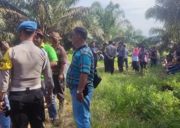 Polres Labusel Kawal Aksi Damai Tanam Pohon Pisang Oleh MDTM Di Lahan PT STA