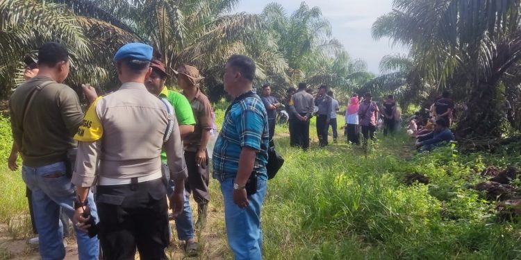 Polres Labusel Kawal Aksi Damai Tanam Pohon Pisang Oleh MDTM Di Lahan PT STA
