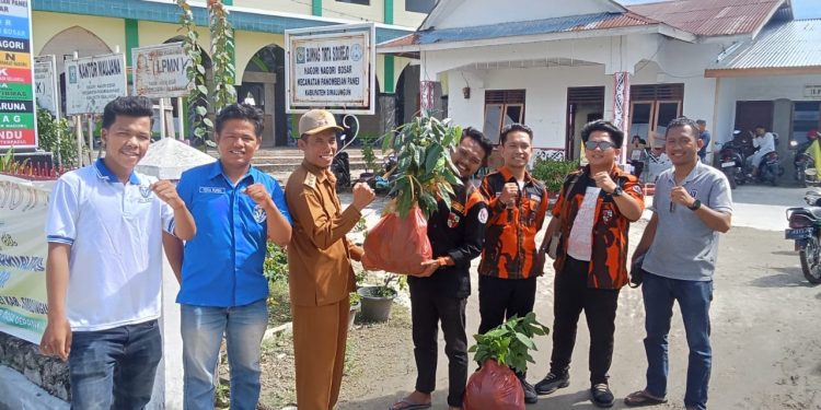 SAPMA PP, GAMKI, KMPD, GAMPERA Salurkan 2000 Bibit Produktif Bentuk Kritikan Kepada Pemerintahan Kabupaten Simalungun