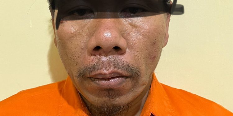 Pembobol Rumah di Pringsewu Diringkus, Pelaku Ternyata Baru Bebas dari Penjara