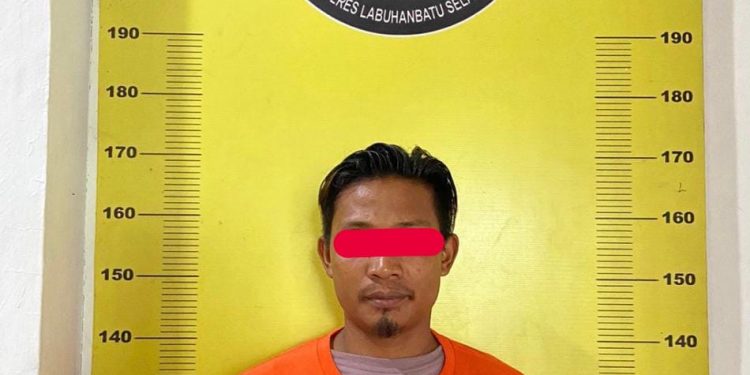 Unit Reskrim Polsek Kotapinang Amankan PG Dengan Bukti Sabu Di Kotapinang