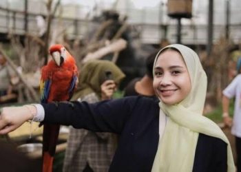 PKB Resmi Dukung Bobby Nasution di Pilgub Sumut, Usulkan Nagita Slavina Sebagai Cawagub