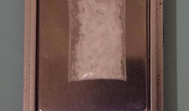 Satresnarkoba Polres Labusel Bekuk Penjual Sabu di Dua Lokasi