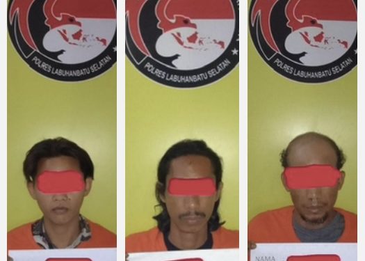 Satresnarkoba Polres Labusel Gerebek Gubuk Narkoba di Desa Sei Meranti , Amankan 3 TSK