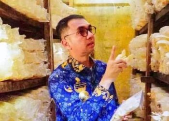 Pjs Bupati Labuhan Batu Lakukan Kunjungan Ke Bank Sampah dan Bididaya Tanaman Jamur Tiram di Kec.Bilah Hulu