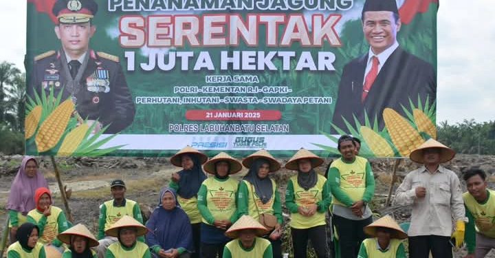 Pemkab Labusel Turut Sukseskan Program Penanaman Jagung Serentak