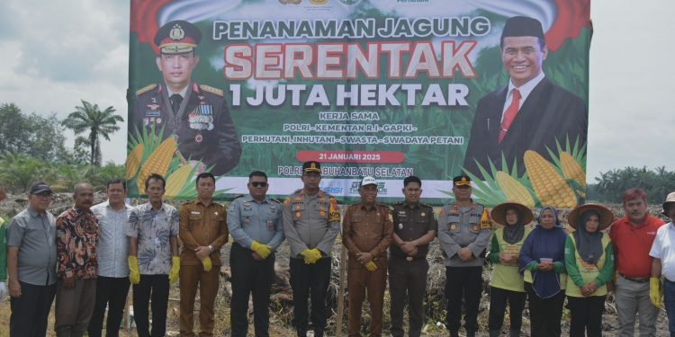 Polres Labusel Gelar Penanaman Jagung Serentak 1 Juta Hektar Secara Nasional di Torgamba
