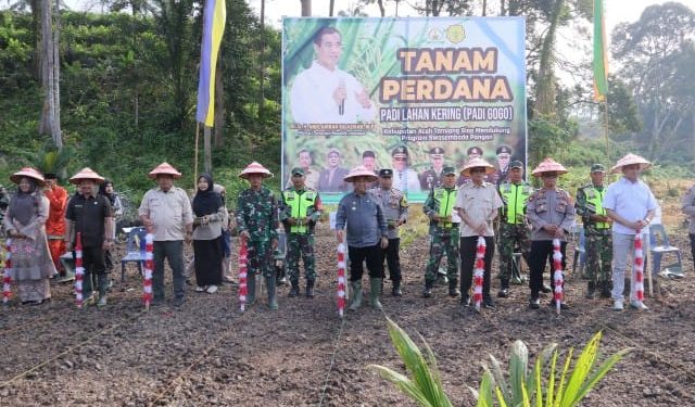 Program Swasembada Pangan Yaitu, Memperluas Areal Tanam padi di Aceh Tamiang Dengan Memanfaatkan Lahan Program PSR.
