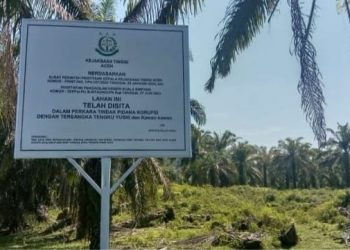 Lahan Eks HGU PT.DESA JAYA Ada Yang Mengusik Oleh Oknum Tertentu