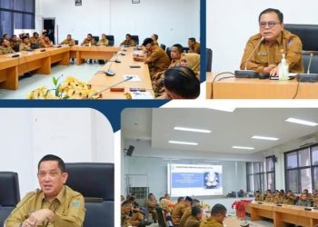 Inspektorat Provinsi Sumatera Utara Lakukan Entry Meeting Dengan Pemkab Labuhan Batu