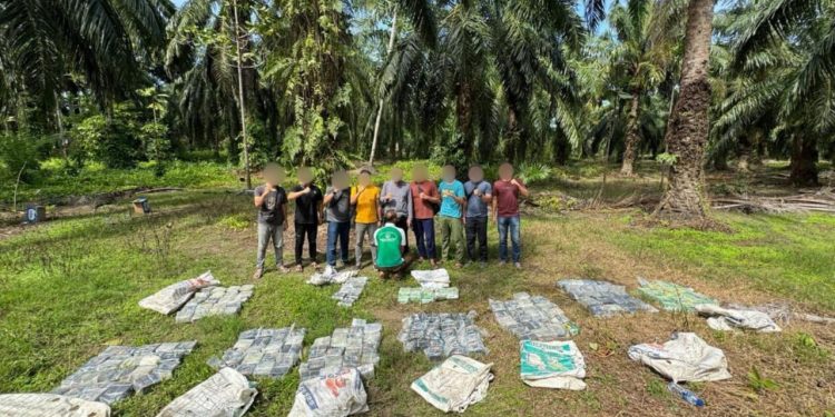 Tim Gabungan Bea Cukai Dan Polri Gagalkan Upaya Penyeludupan Narkotika Jenis Methamphetamin