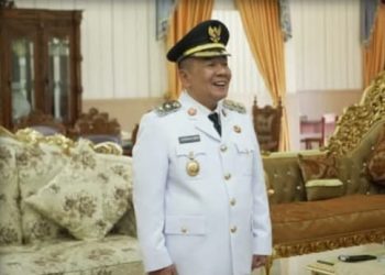 Wakil Bupati Syahdian Purba Ikuti Upacara Peringatan Hari Otonomi Daerah XXIX Tahun 2025 Secara Virtual