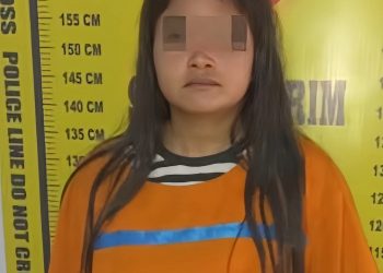 Sempat Menjadi DPO, Wanita Pencuri Honda Beat Di Jalan Patuan Anggi Diringkus Di Tiga Panah