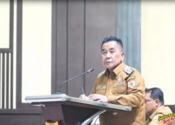 Wabup Syahdian Ungkap Kinerja Pemkab Labusel: Fokus Pendidikan, Kesehatan & Infrastruktur