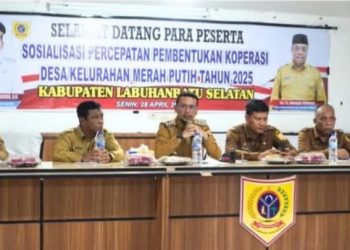 Bupati Fery Sahputra Simatupang Dorong Percepatan Koperasi Desa Merah Putih di Labusel