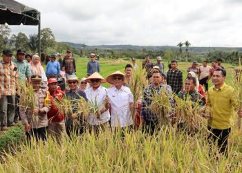 Disiarkan Dari Desa Pargarutan Julu, Bupati Tapsel Panen Raya Bersama Presiden RI