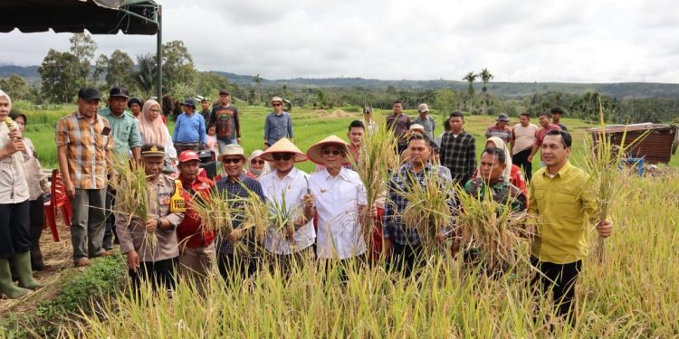 Disiarkan Dari Desa Pargarutan Julu, Bupati Tapsel Panen Raya Bersama Presiden RI