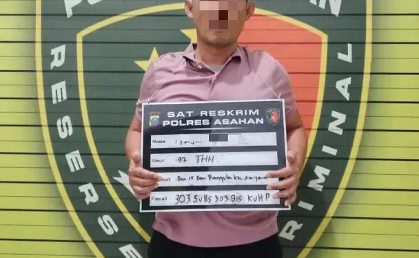 Anggota DPRD Asahan Pajar Prianto Bantah Terlibat Judi Sabung Ayam, Klaim Hanya Jual Beli Ayam Jago