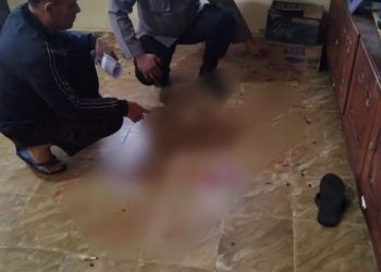 Petaka Harta Warisan, Adik Bunuh Abang Kandung di Simalungun