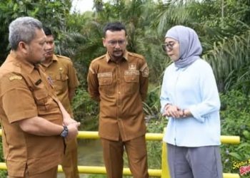 Bupati Labusel Fery Sahputra Tinjau Saluran Air di Dusun Tugu Sari