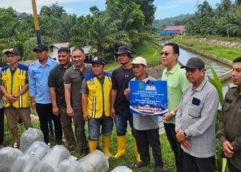 Tak Main-Main, Bupati Gus Irawan Seriusi Tapsel Swasembada Ikan