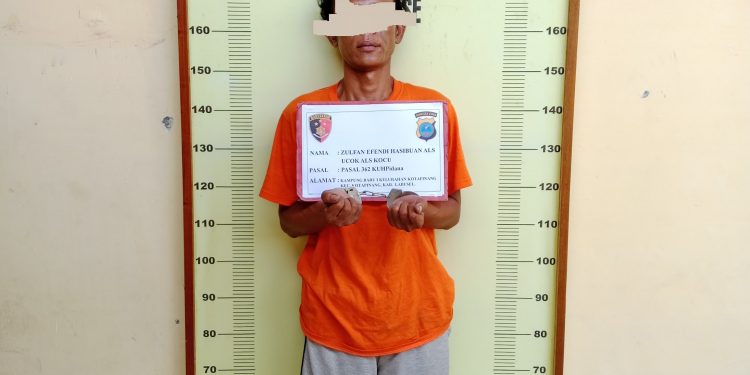 Sempat Viral Polsek Torgamba Ungkap Kasus Pencurian di Teras Masjid, Pelaku Berhasil Diamankan